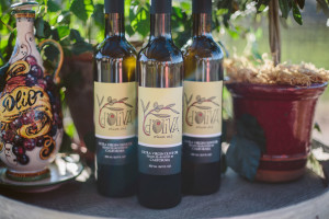 The Newest D’Oliva Olive Oil is Available!