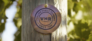Vine Hill Ranch