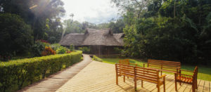 Junkyard Wisdom: Belize