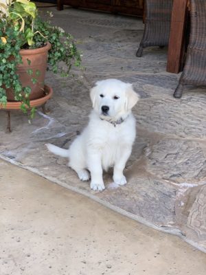 Six Ways to Motivate