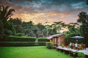 Junkyard Wisdom Belize 3.0