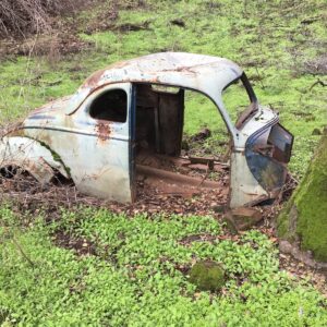 The things we don’t know