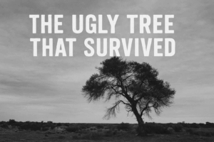 The Ugly Tree
